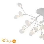 Люстра Freya Florencia FR5049CL-27W1 - Фото 2