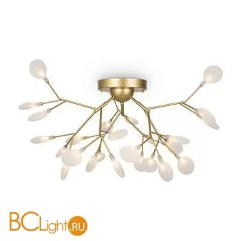 Люстра Freya Florencia FR5049CL-27G