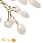 Люстра Freya Florencia FR5049CL-27G - Фото 0