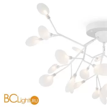 Потолочный светильник Freya Florencia FR5049CL-27W2 - Фото 2