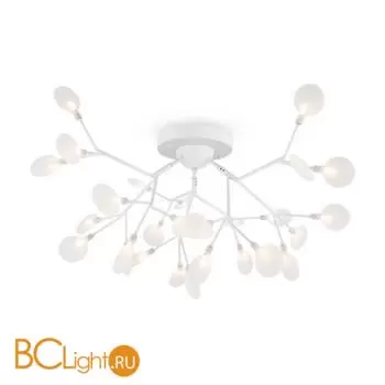 Потолочный светильник Freya Florencia FR5049CL-27W2