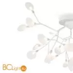 Потолочный светильник Freya Florencia FR5049CL-27W2 - Фото 2