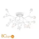 Потолочный светильник Freya Florencia FR5049CL-27W2