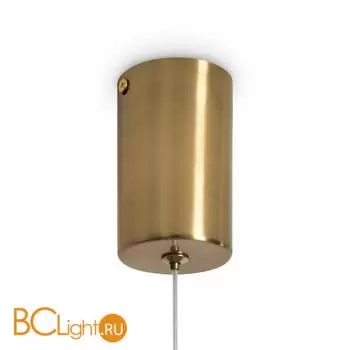 Подвесной светильник Freya Flower FR5579PL-L8BS - Фото 13