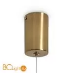 Подвесной светильник Freya Flower FR5579PL-L8BS - Фото 13