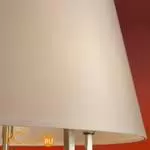 Потолочный светильник Freya Graceful FR2042CL-05N - Фото 5