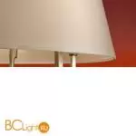 Потолочный светильник Freya Graceful FR2042CL-05N - Фото 9