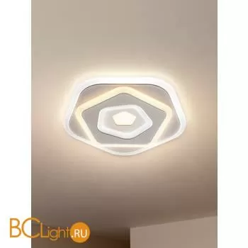 Настенный светильник Freya Iona FR10019WL-L23W