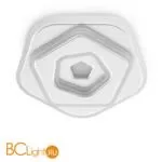 Настенный светильник Freya Iona FR10019WL-L23W - Фото 4