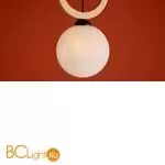 Подвесной светильник Freya Irisa FR5593PL-01B - Фото 6