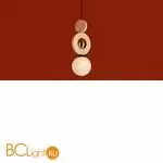 Подвесной светильник Freya Irisa FR5593PL-01B1 - Фото 4