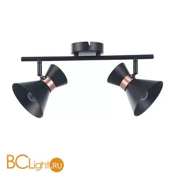 Спот (точечный светильник) Freya Izzy FR4273-CW-02-B