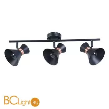 Спот (точечный светильник) Freya Izzy FR4273-CW-03-B