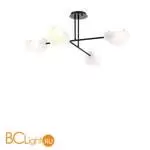 Подвесной светильник Freya Mallow FR5228PL-04B