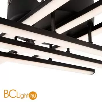 Потолочный светильник Freya Mandy FR6024CL-L42B - Фото 2