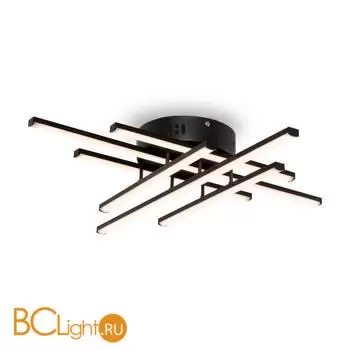 Потолочный светильник Freya Mandy FR6024CL-L42B