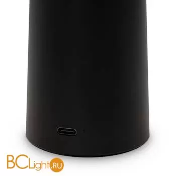 Аккумуляторный светильник Freya Mushroom FR6109TL-L4B - Фото 4