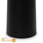 Аккумуляторный светильник Freya Mushroom FR6109TL-L4B - Фото 4