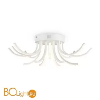 Потолочный светильник Freya Naomi FR6046CL-L50W