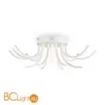 Потолочный светильник Freya Naomi FR6046CL-L50W