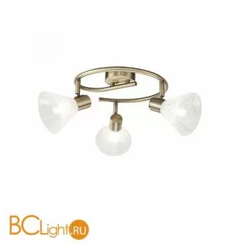 Потолочный светильник Freya Paola FR7001CL-03BZ