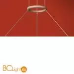 Подвесной светильник Freya Prism FR5535PL-L14B - Фото 13