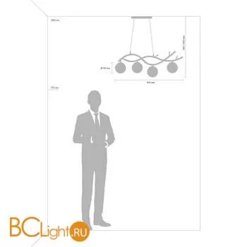 Подвесной светильник Freya Rosella FR8015PL-04BS - Фото 2