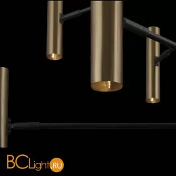 Люстра Freya Setto FR5142PL-10BBS - Фото 4