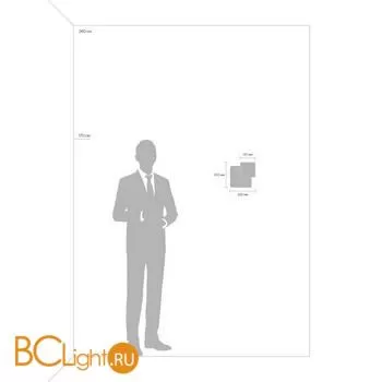 Настенный светильник Freya Siala 02 FR10027WL-L13B - Фото 3