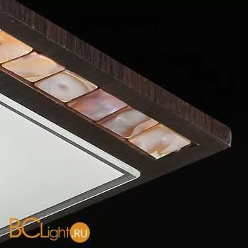 Потолочный светильник Freya Simmetria FR4810-CL-01-BR - Фото 0