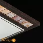 Потолочный светильник Freya Simmetria FR4810-CL-01-BR - Фото 0