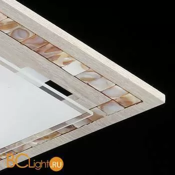 Потолочный светильник Freya Simmetria FR4810-CL-03-W - Фото 0