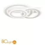 Потолочный светильник Freya Sunny FR10022CL-L63W - Фото 1