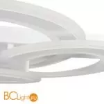 Потолочный светильник Freya Sunny FR10022CL-L63W - Фото 4