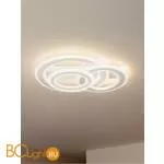 Потолочный светильник Freya Sunny FR10022CL-L63W