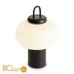 Настольный светильник Freya Take FR6175TL-L10B - Фото 5