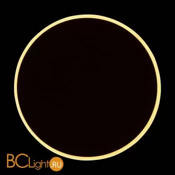 Настенный светильник Freya Touchstone FR6002WL-L13W - Фото 17