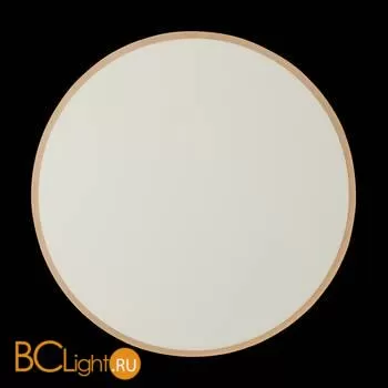 Настенный светильник Freya Touchstone FR6002WL-L13W - Фото 19