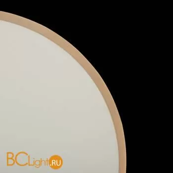 Настенный светильник Freya Touchstone FR6002WL-L13W - Фото 14