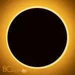 Настенный светильник Freya Touchstone FR6002WL-L13W - Фото 18