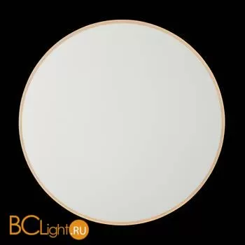 Настенный светильник Freya Touchstone FR6002WL-L20W - Фото 19