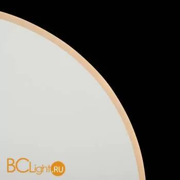 Настенный светильник Freya Touchstone FR6002WL-L20W - Фото 13