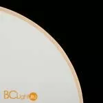 Настенный светильник Freya Touchstone FR6002WL-L20W - Фото 13