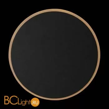 Настенный светильник (бра) Freya FR6002WL-L13B - Фото 12