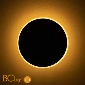 Настенный светильник (бра) Freya FR6002WL-L13B