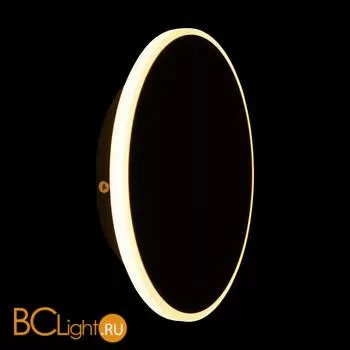 Настенный светильник (бра) Freya FR6002WL-L13B - Фото 13