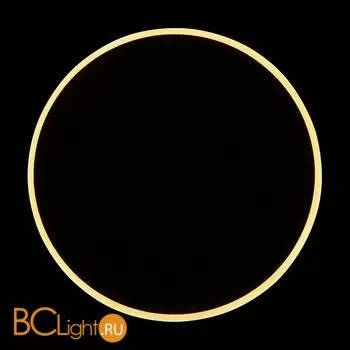 Настенный светильник (бра) Freya FR6002WL-L13B - Фото 15