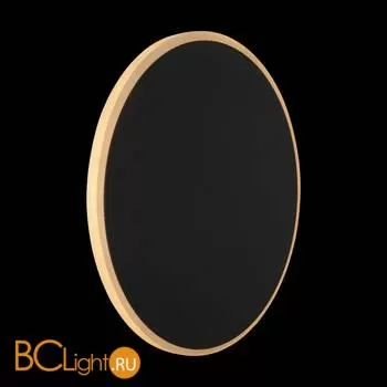 Настенный светильник (бра) Freya FR6002WL-L13B - Фото 9