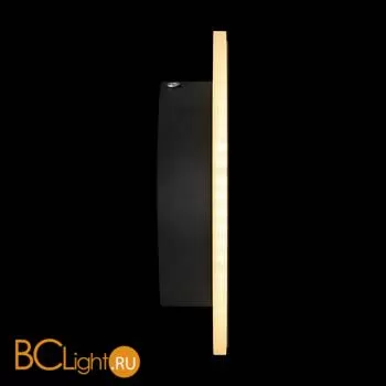 Настенный светильник (бра) Freya FR6002WL-L13B - Фото 11