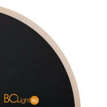 Настенный светильник (бра) Freya FR6002WL-L13B - Фото 5